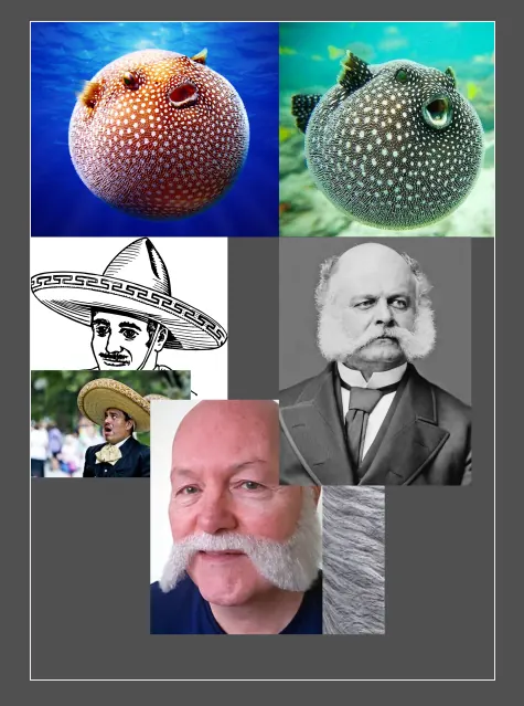 Reference board for Bubblepuff: pufferfish, sombreros and mustaches