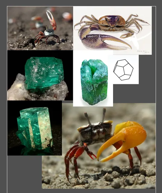 Reference board for Krictyl: fiddler crabs and emerald crystals