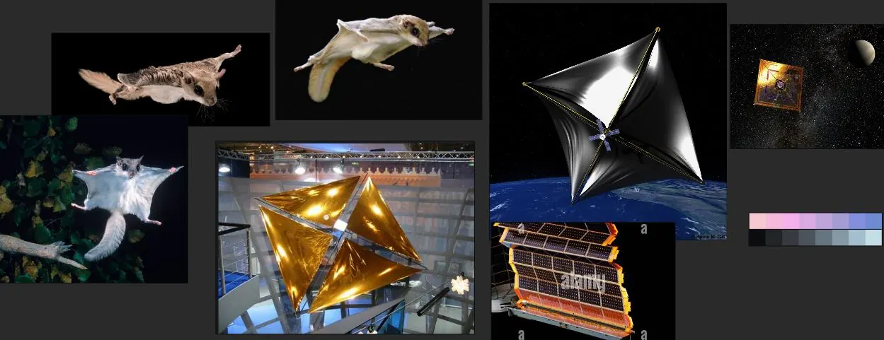 Reference board for Pteroming: flying squirrels and solar sails